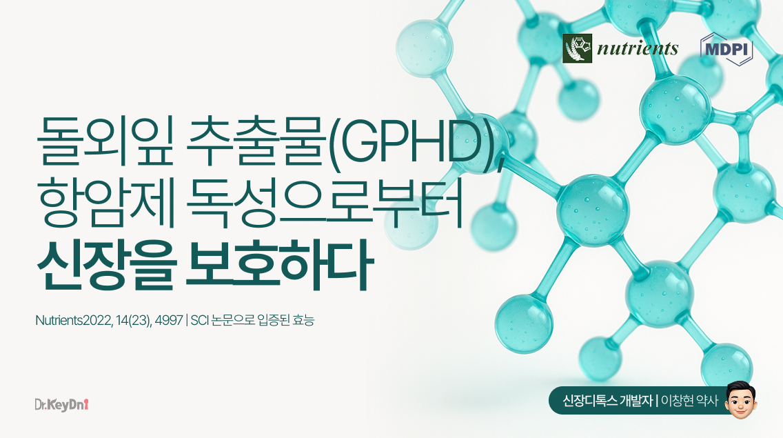 '돌외잎', 항암제 독성으로부터 신장을 보호하다