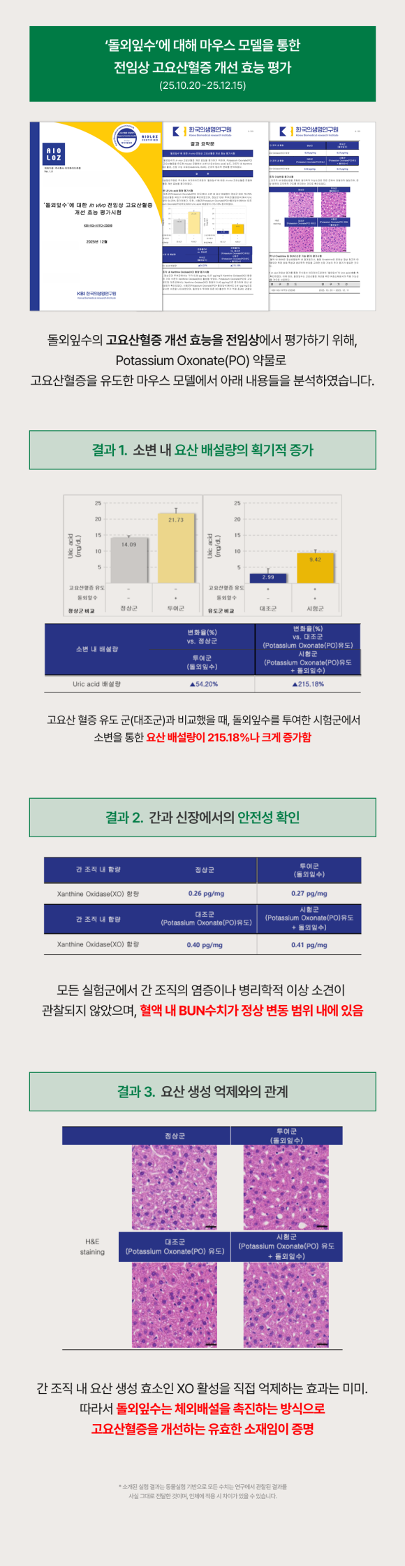 요산배출 및 통풍에 좋은 음식_돌외잎수 전임상 고요산혈증 개선 효능 평가