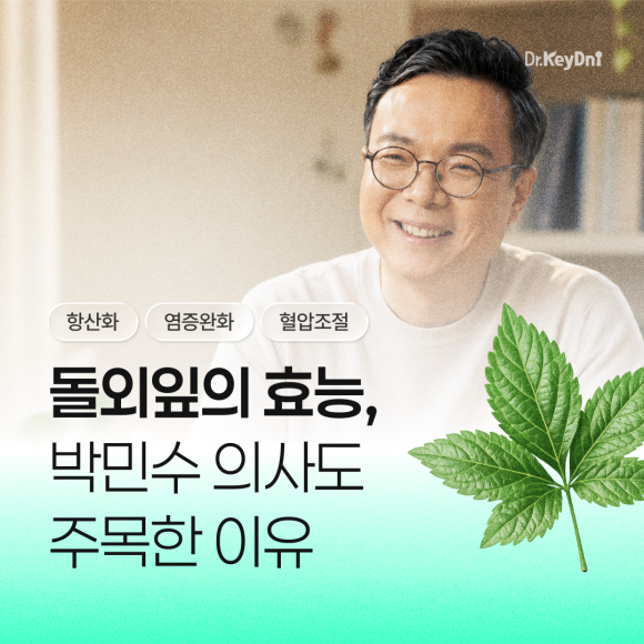 돌외잎의 효능, 박민수 의사도 주목한 이유_썸네일