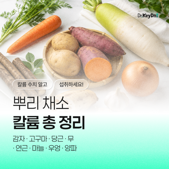 뿌리채소 칼륨 총정리 (감자, 고구마, 당근, 무, 우엉, 연근, 마늘, 양파)_썸네일