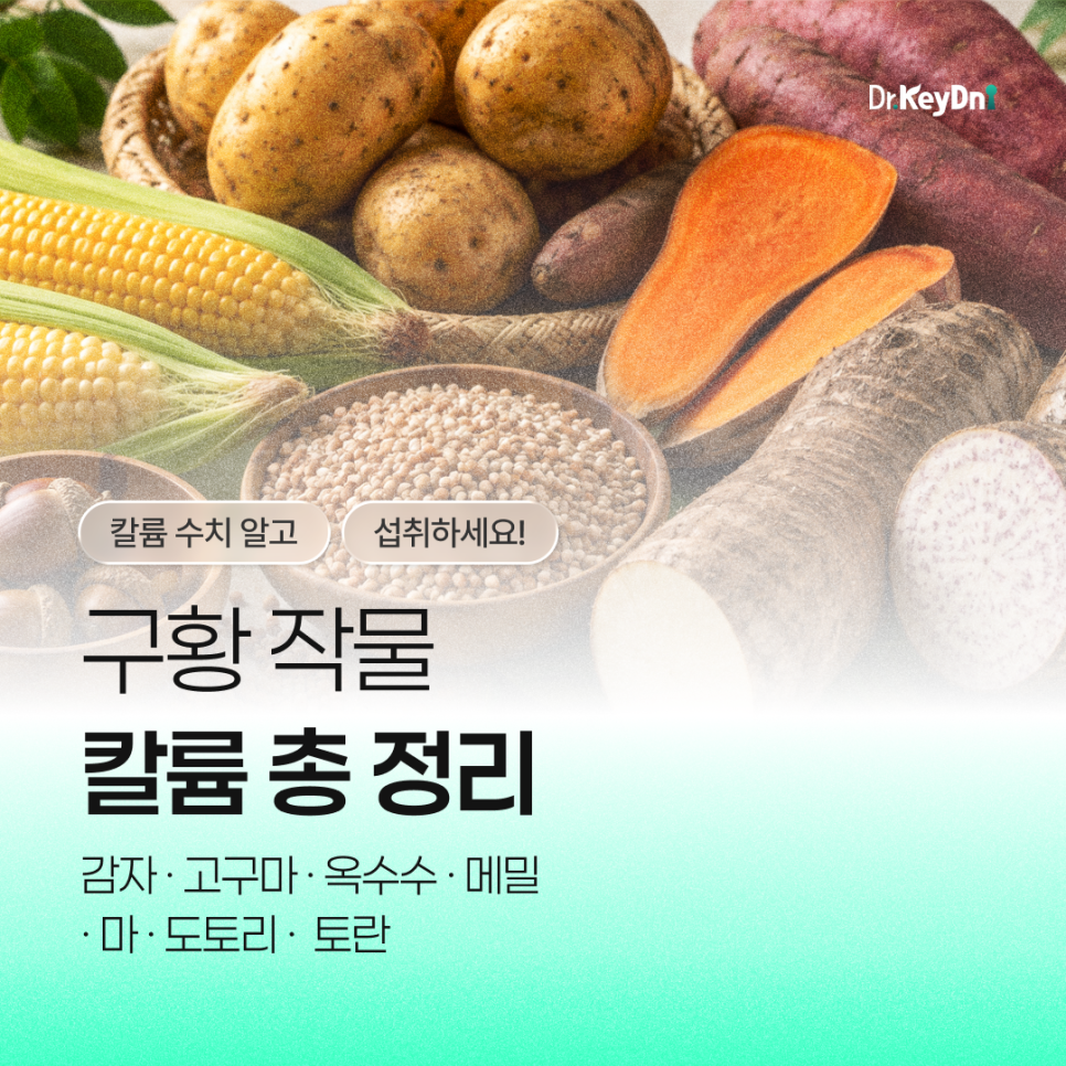 구황작물 칼륨 총정리 (감자, 고구마, 옥수수, 메밀, 마, 도토리, 토란)_썸네일