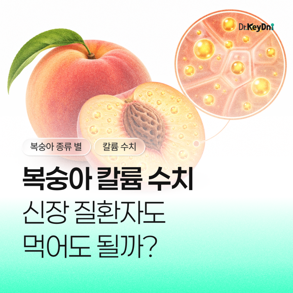 복숭아 칼륨 수치|신장질환자는 몇 개까지 먹어도 될까?_썸네일