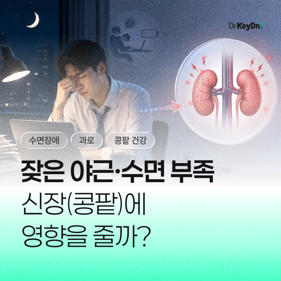 잦은 야근·수면 부족, 신장(콩팥)에 영향을 줄까?_썸네일