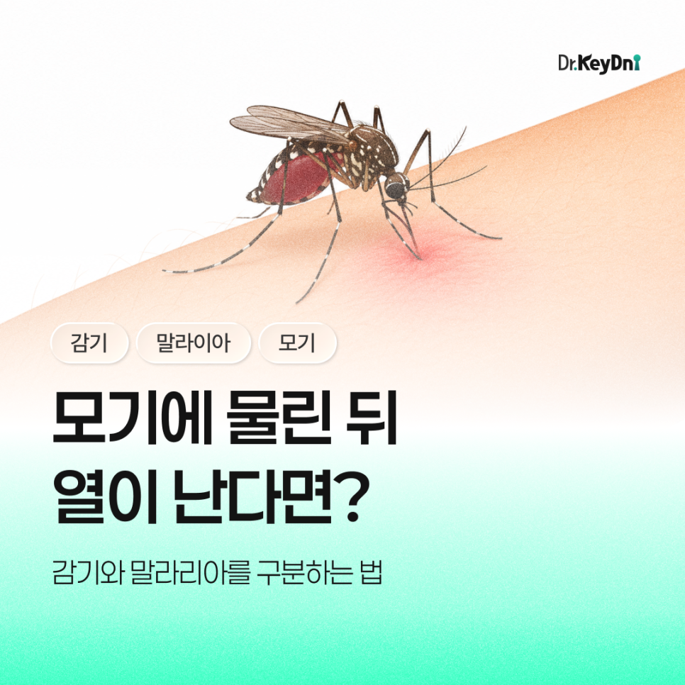 모기에 물린 뒤 열이 난다면? | 감기와 말라리아를 구분하는 증상_썸네일