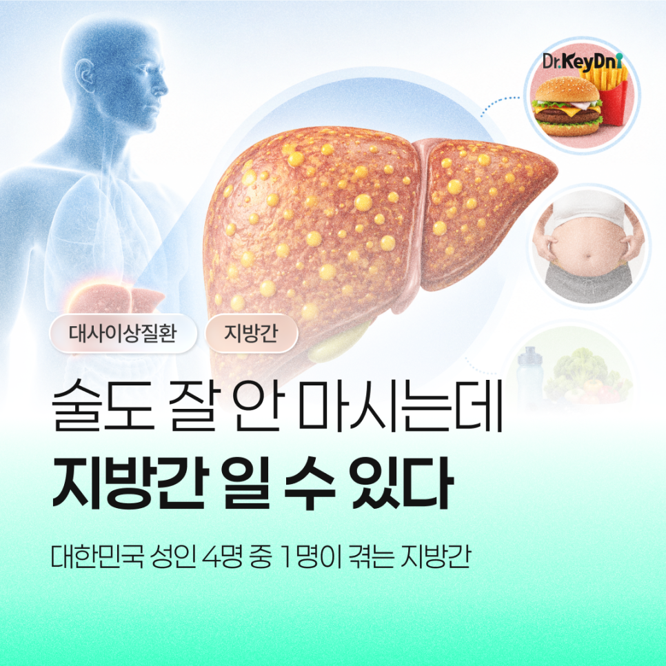 술도 안 마시는데 지방간이라고요?  성인 4명 중 1명이 겪는 지방간