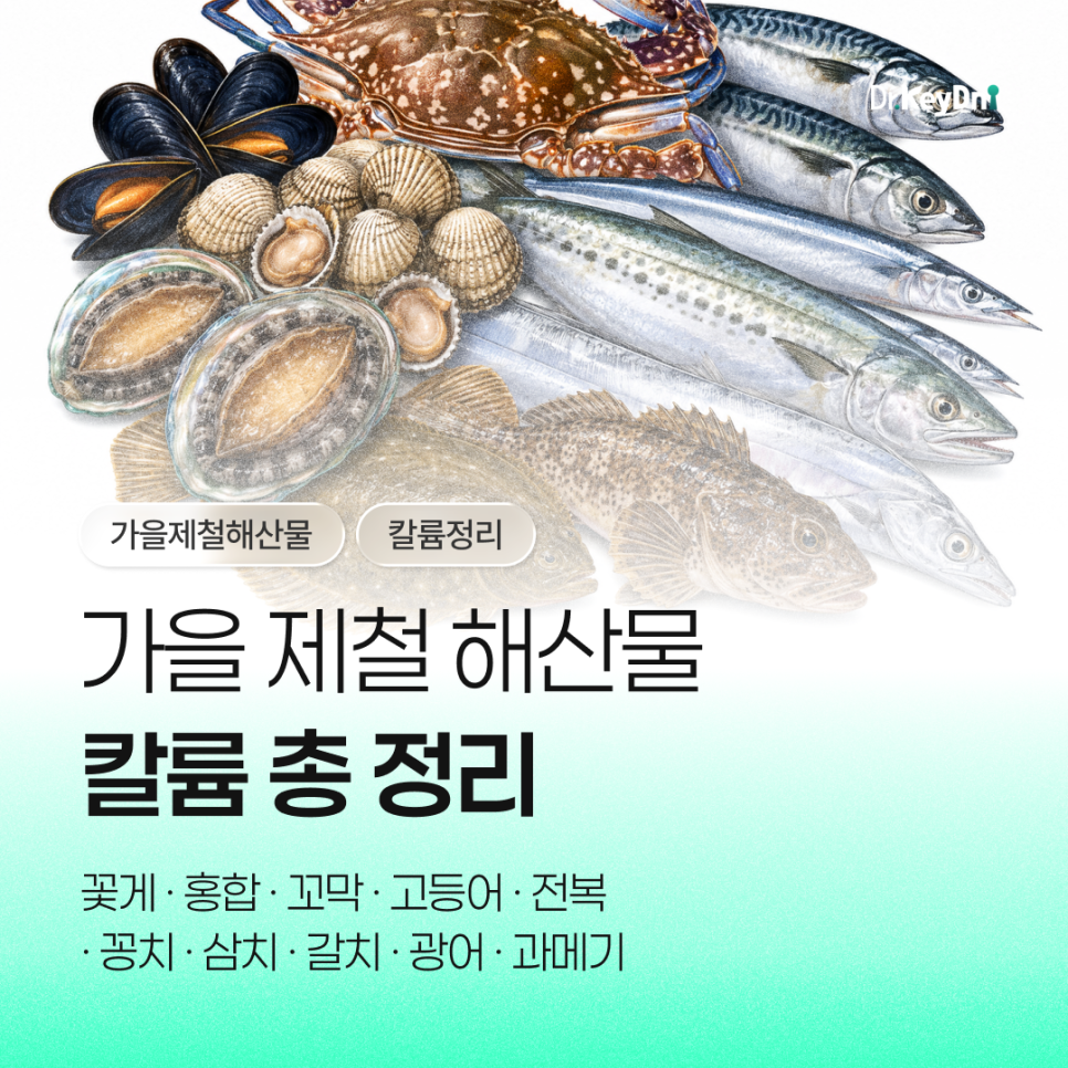 가을 제철 해산물 칼륨 (꽃게·홍합·꼬막·고등어·전복·꽁치·삼치·갈치·광어·과메기)