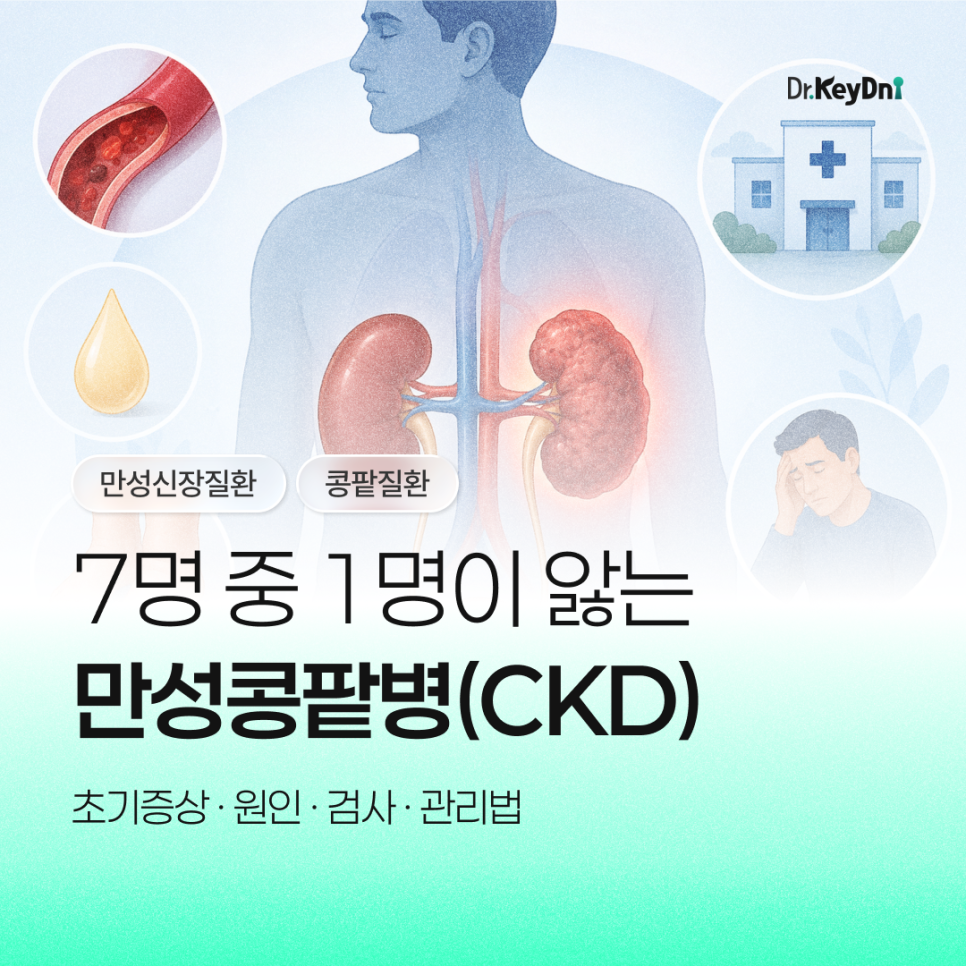 7명 중 1명이 앓는 만성콩팥병(CKD) (초기증상·원인·검사·관리법)